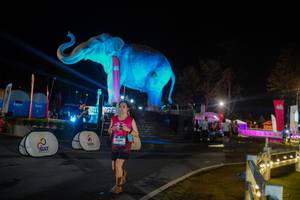 BIB: 
                            <button type="button" onclick="openModal(26552396)" class="btn btn-primary btn-sm float-right btn-popup" data-toggle="modal" data-target=".modal-high-quality">
                        <i class="fas fa-shopping-cart"></i> Add to Cart
                    </button>
                                            <button type="button" onclick="isThisMe(26552396, true)" class="btn btn-success btn-sm float-right btn-popup btn-isme hidden" data-toggle="tooltip" data-placement="bottom" title="นี่คือรูปของคุณใช่ไหม คลิกที่นี่เพื่อเอาเข้าอัลบั้ม">
                        <i class="fas fa-plus"></i> Add to album
                    </button>
                    <button type="button" onclick="isThisMe(26552396, false)" class="btn btn-warning btn-sm float-right btn-popup btn-isnotme hidden">
                        <i class="fas fa-ban"></i> Remove from album
                    </button>